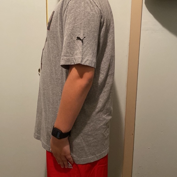 Grey Puma - Picture 2 of 4